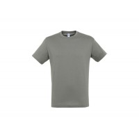 T-SHIRT M/MANGA REGENT CINZA ZINCO 